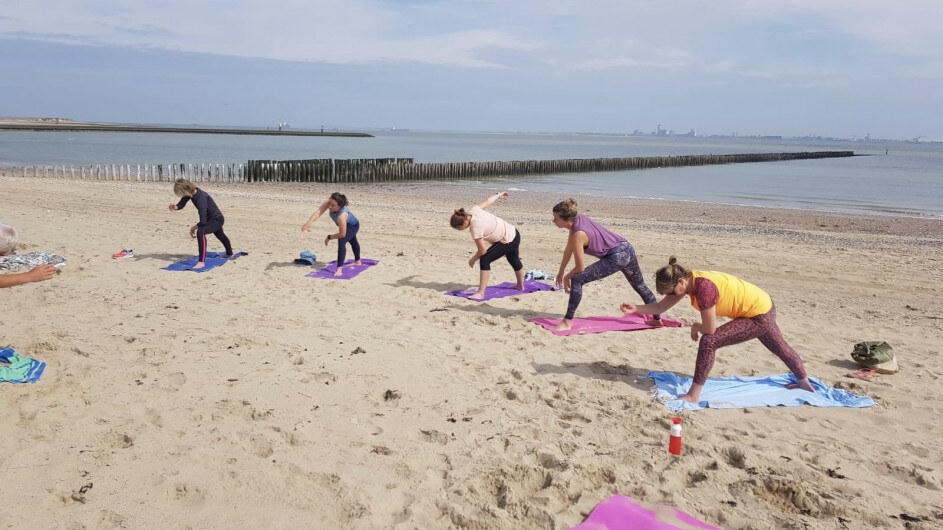 Yogales op het strand