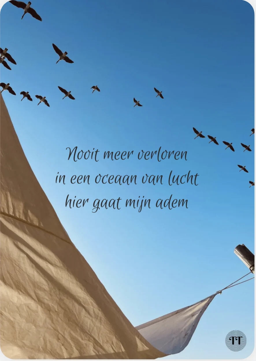 Nooit meer verloren