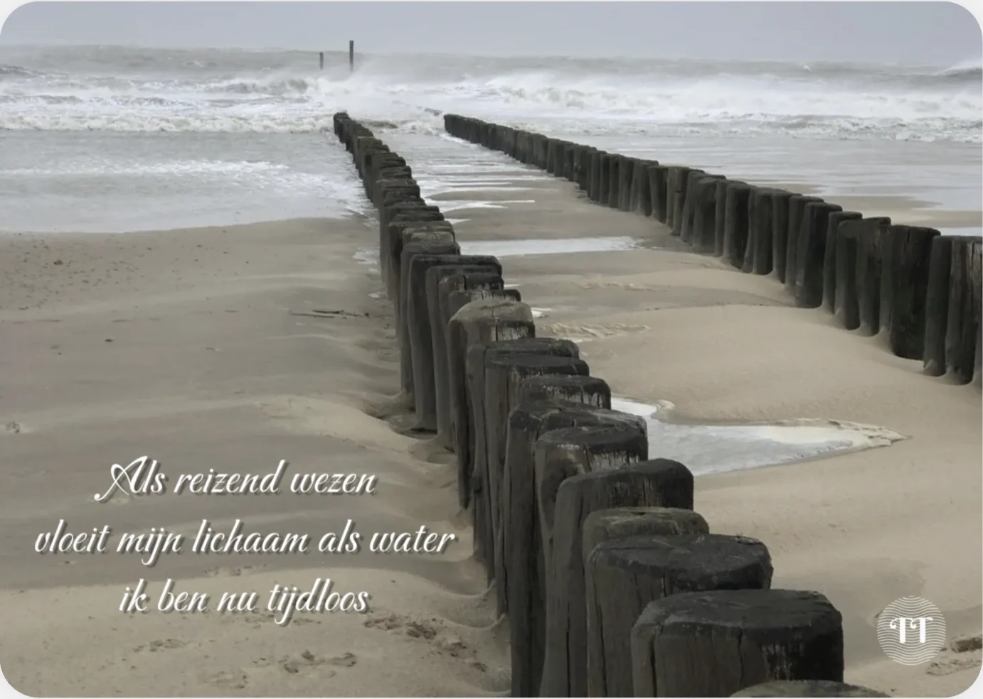 Als reizend wezen