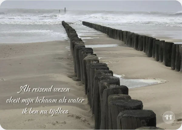 Als reizend wezen
