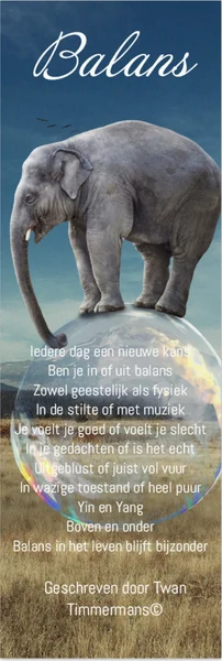 Boekenlegger balans & Kern