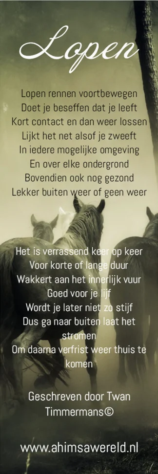 Boekenlegger Lopen & Bewust bewegen
