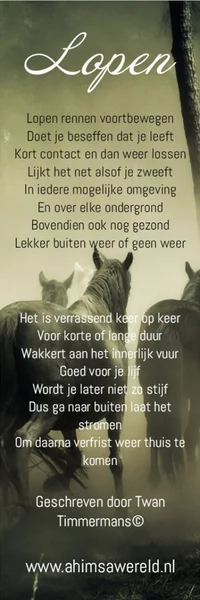 Boekenlegger Lopen & Bewust bewegen