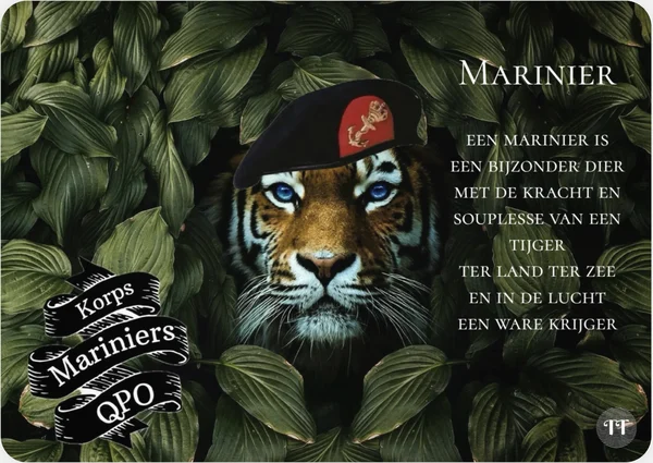 Marinier Tijger