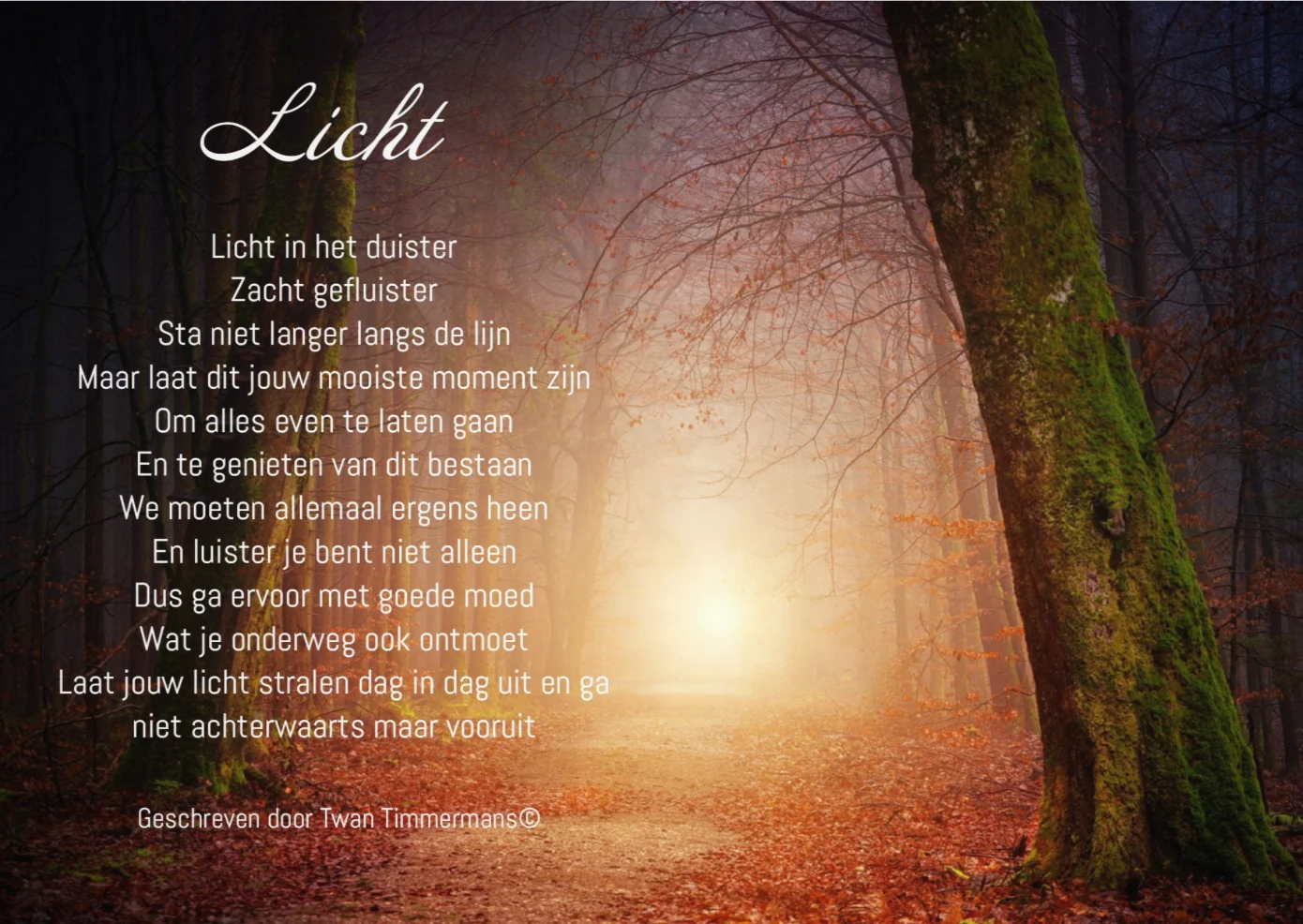 Licht
