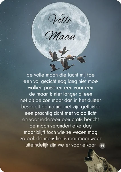 Volle maan