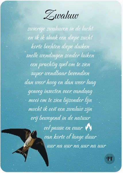 Zwaluw