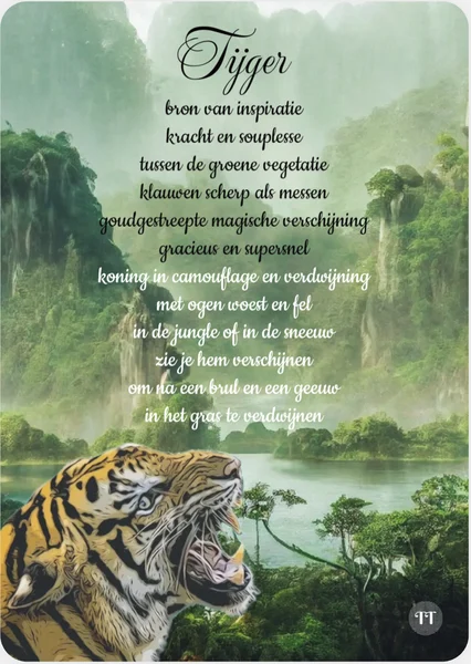 Tijger