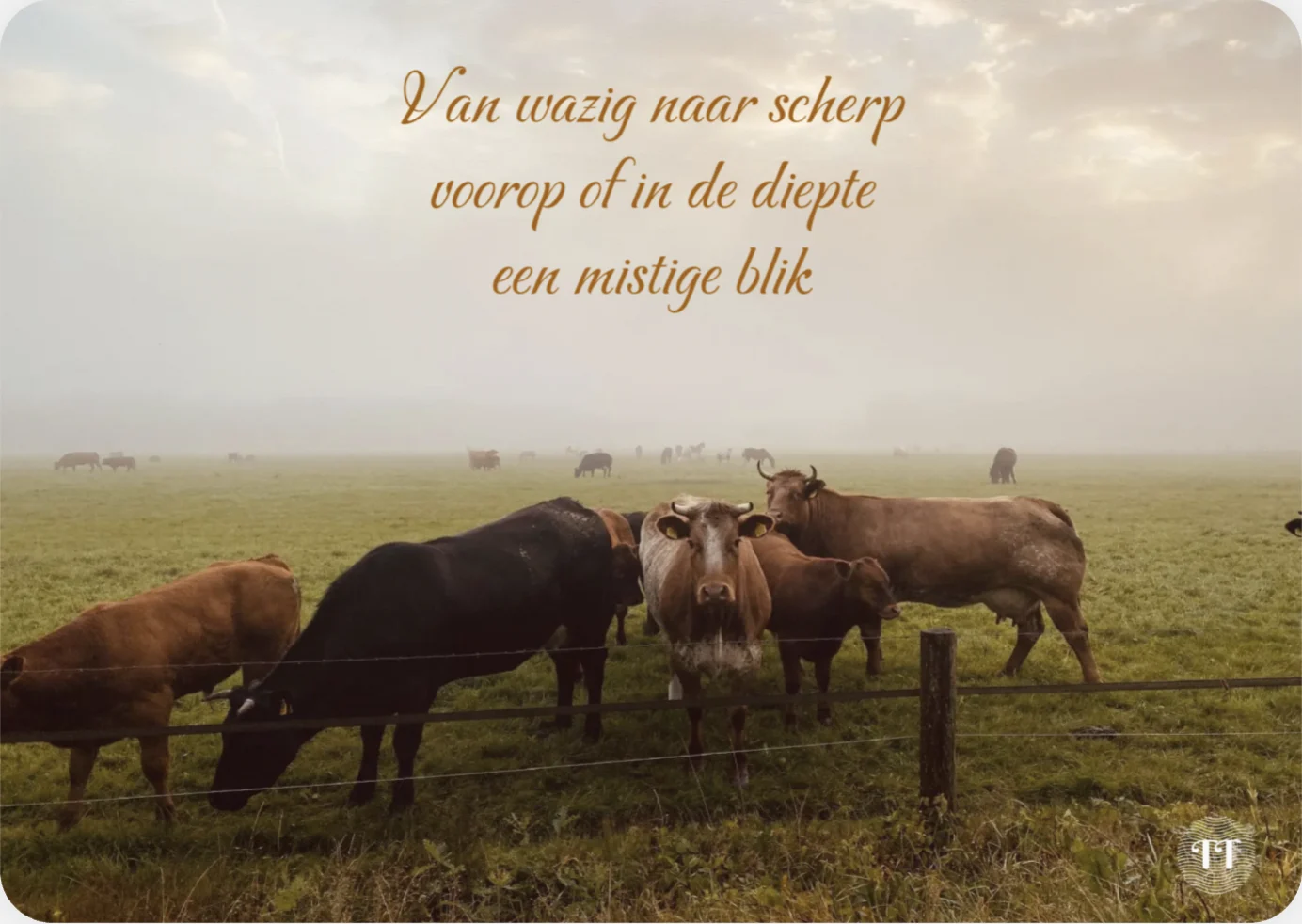 Haiku: Van wazig naar scherp