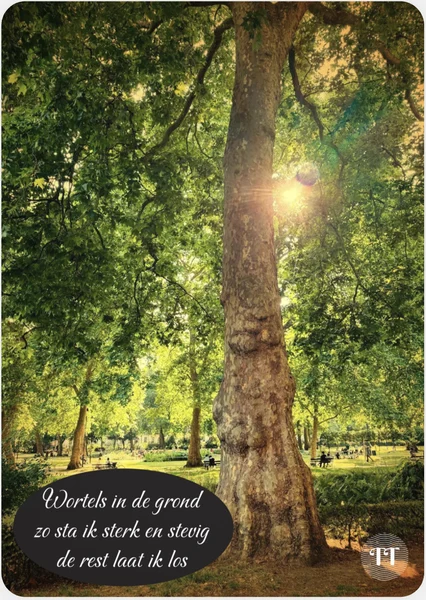 Haiku Wortels in de grond