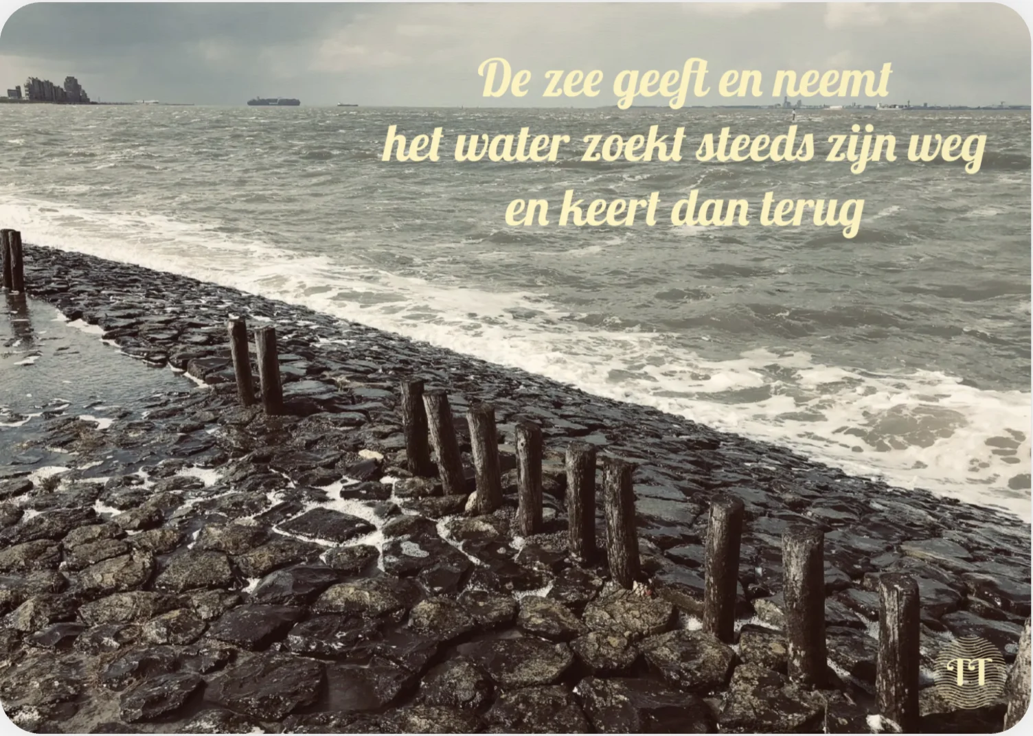 Haiku De zee geeft