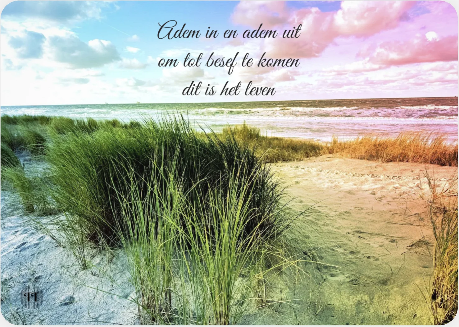 Haiku Adem in